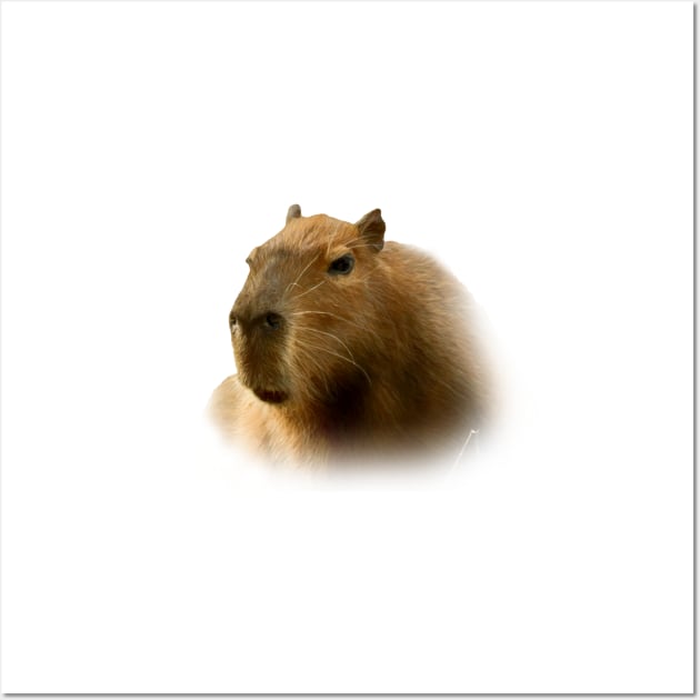 Capybara Wall Art by Guardi